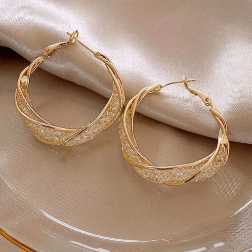Elegant Vintage Punk Metal Hoop Earrings – Stylish Jewelry for Daily Wear - Image 5